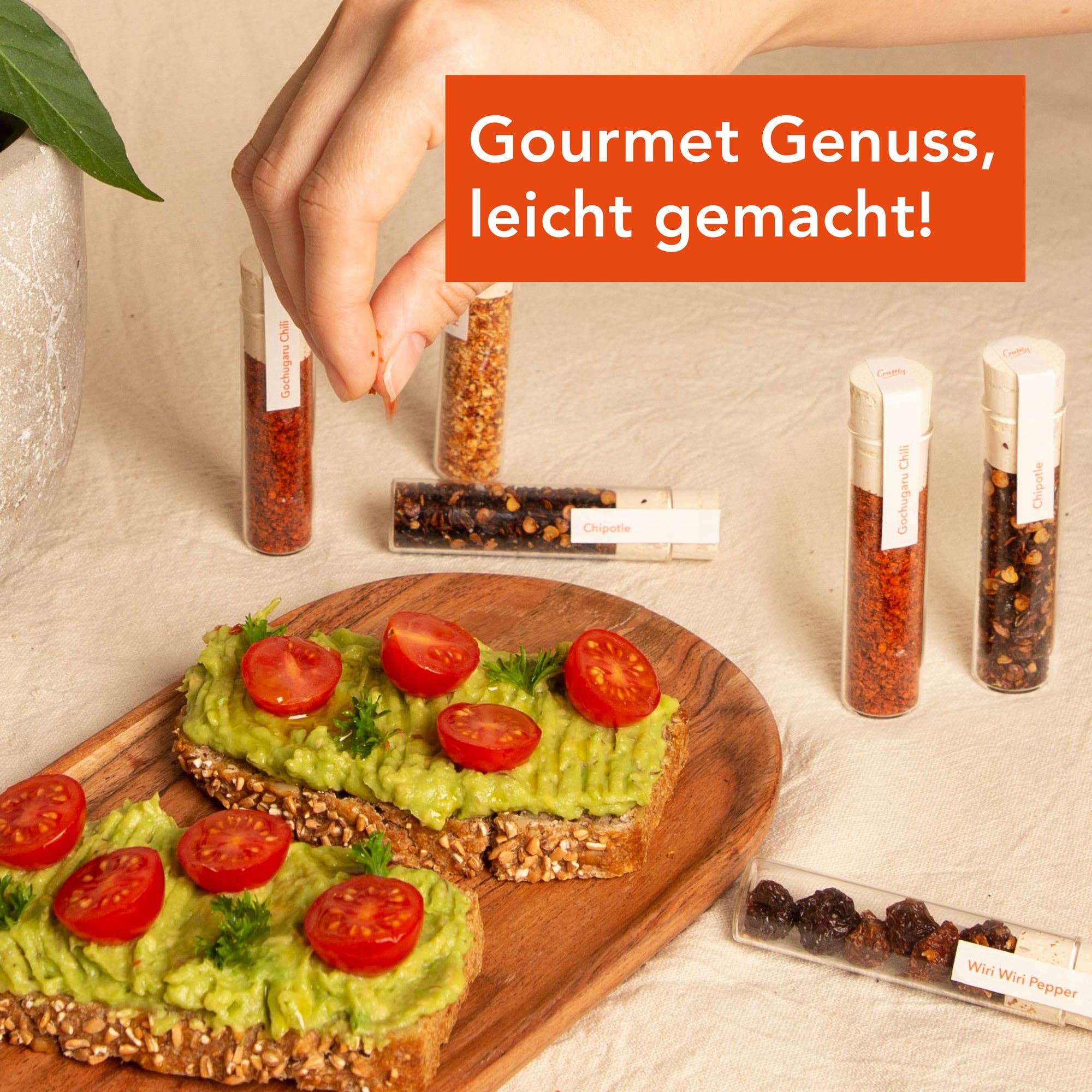 Craftly Chilis Geschenkbox – 12 Sorten aus aller Welt