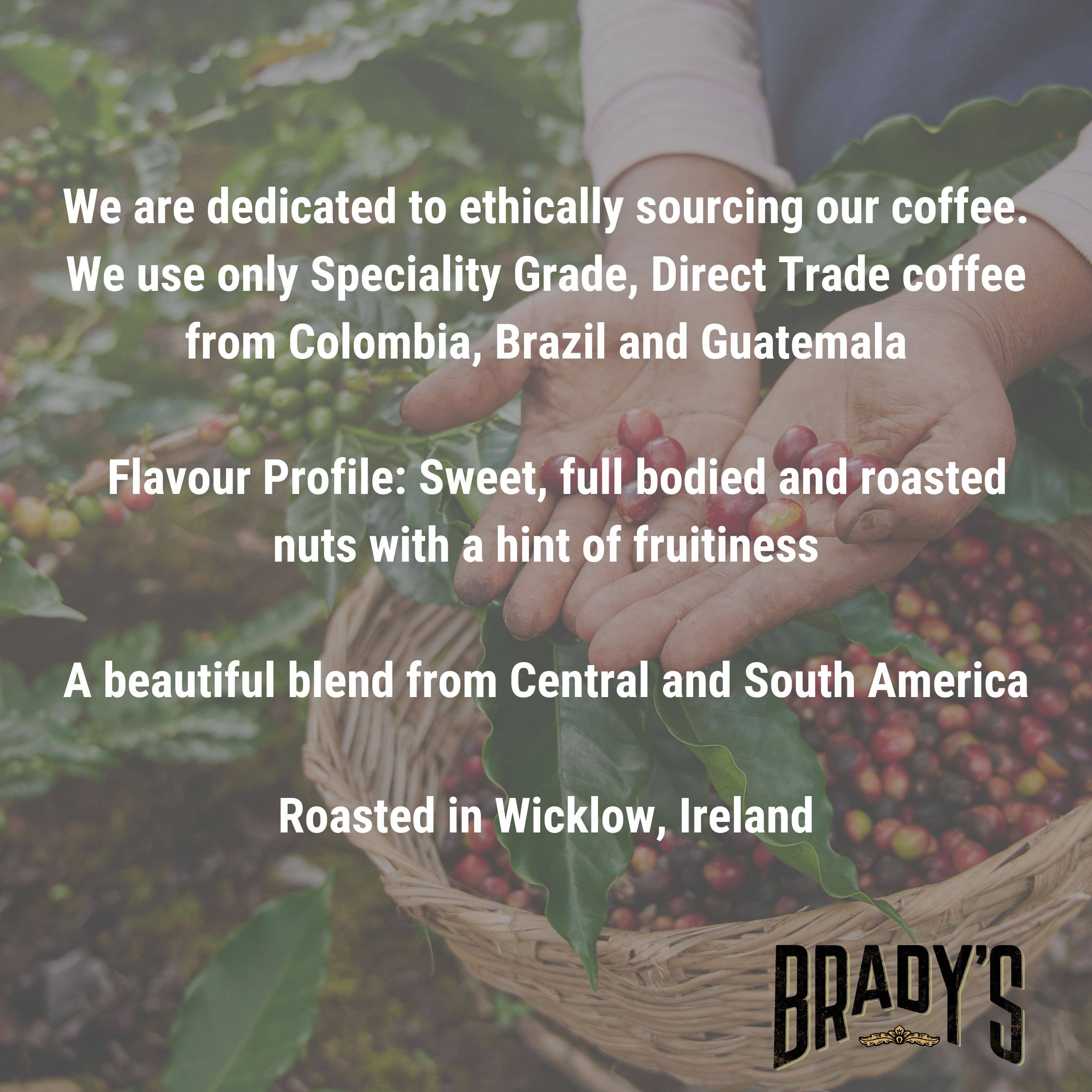Brady’s Espresso Blend – 1 kg Bohnenkaffee aus Irland