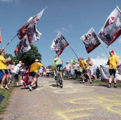 Auf Asphalt. Passion Rennrad