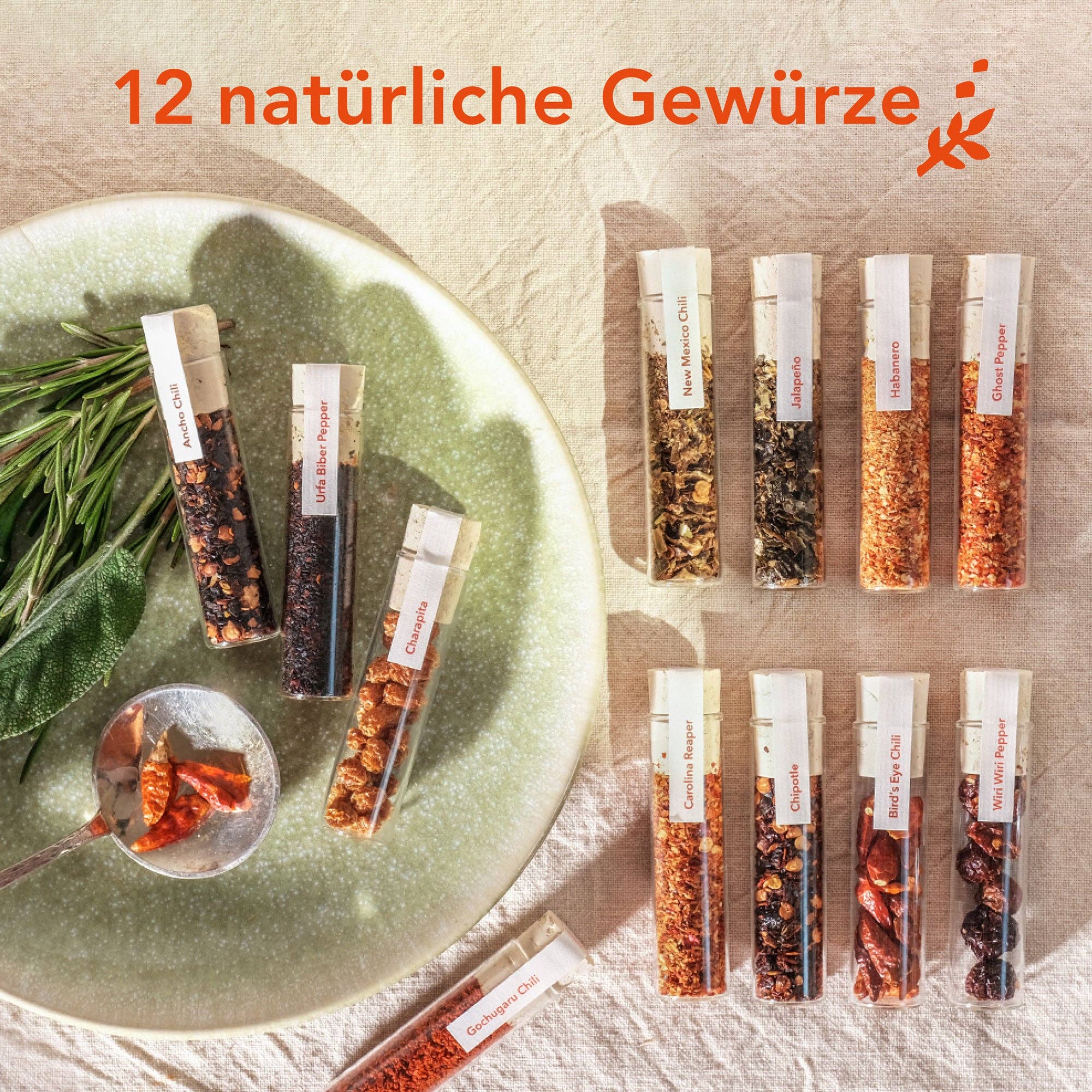 Craftly Chilis Geschenkbox – 12 Sorten aus aller Welt