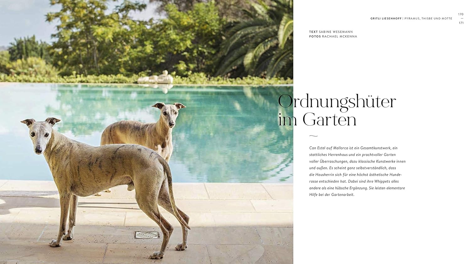 Vom Glück, mit Hunden zu Leben
